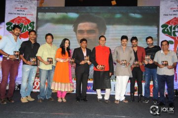 Basanti Movie Audio Launch